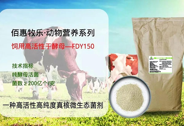 飼用活性干酵母